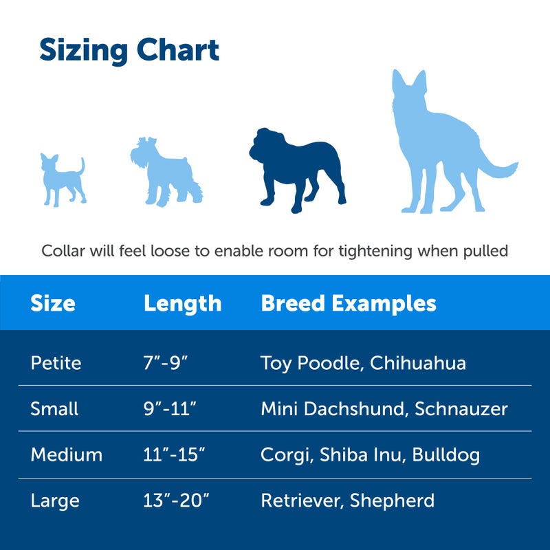 PetSafe Adjustable Martingale Collar - Improves Leash Manners - Escape Prevention - Gentle Behavior Training - Durable Nylon - Alternative to Choke Collar - Medium 3/4" - Raspberry Pink - Image 4