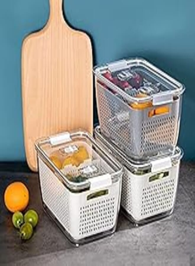 Acrylic Healthy Material Refrigerator and Filter Box (4.5L,28 x 18 x 15cm Multicolour)
