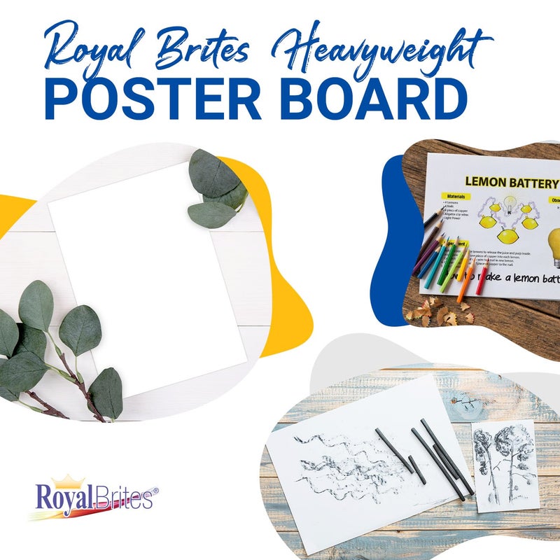 Royal Brites White Heavyweight Poster Board, 2-Sided 22x28 for School Projects, Arts & Crafts, Water & Fade Resistant Posterboard for Signs & Presentations, 24 Count - Image 2