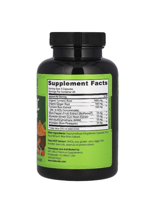 NATURELO - NATURELO, Turmeric Curcumin & Ginger Root With Bioperine®, 120 Vegetarian Capsules - Image 1