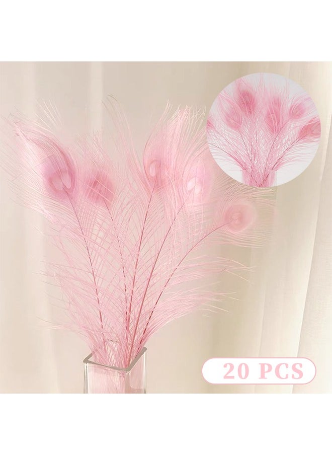 Realfrog Natural Peacock Feathers, 10 to 12-Inch Eyed Peacock Tail Feathers, DIY Craft Decoration for Weddings, Costumes – Set of 20 Peacock Feathers  - Image 1