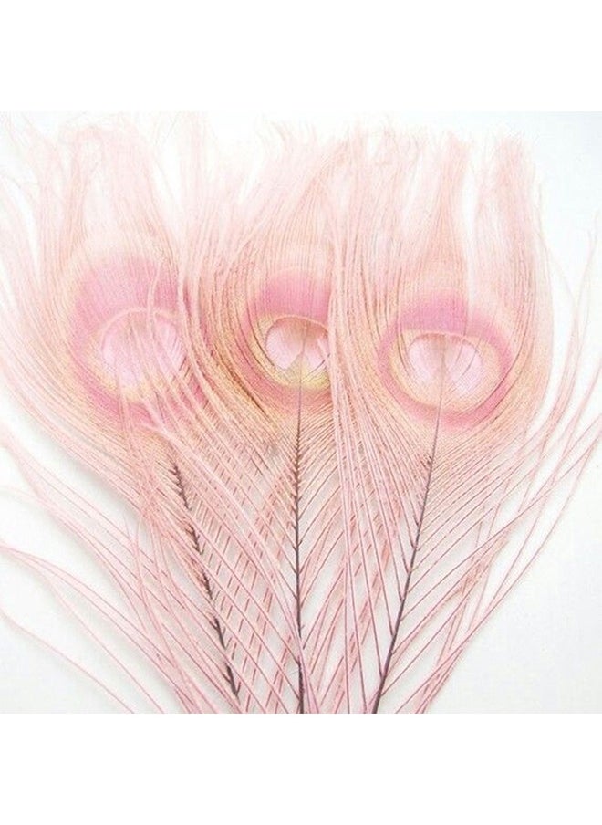 Realfrog Natural Peacock Feathers, 10 to 12-Inch Eyed Peacock Tail Feathers, DIY Craft Decoration for Weddings, Costumes – Set of 20 Peacock Feathers  - Image 2