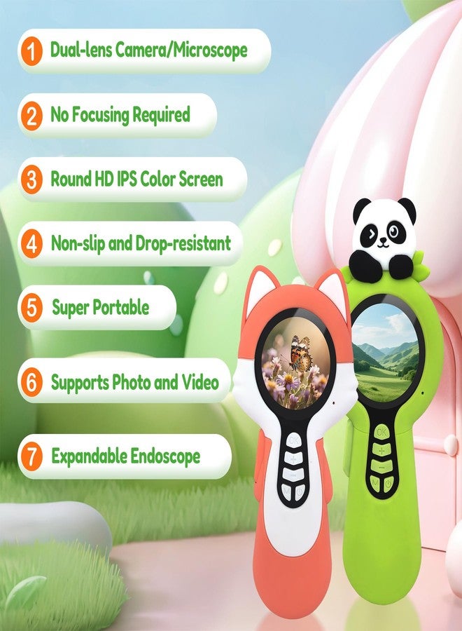 Charmline 2 in 1 Digital Microscope for Kids with Endoscope, Microscope for Children with Switchable Camera & Microscope Lenses, Christmas Stocking Stuffers for Kids, Ideal Gift for Kid, Panda - Image 4
