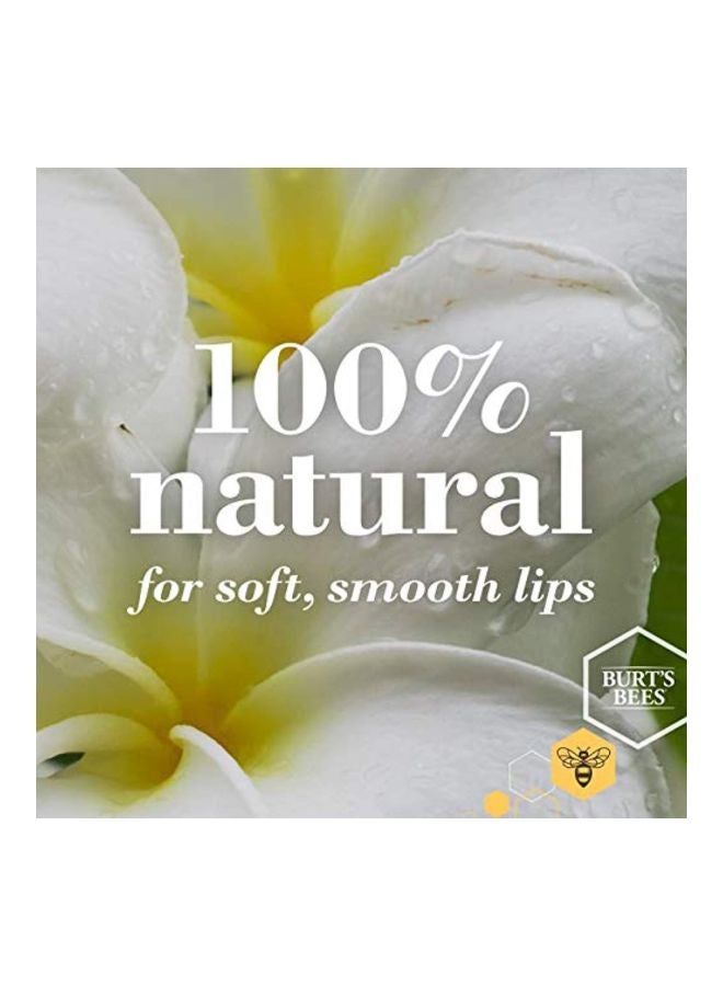Burt's Bees Natural Conditioning Lip Scrub - Image 4