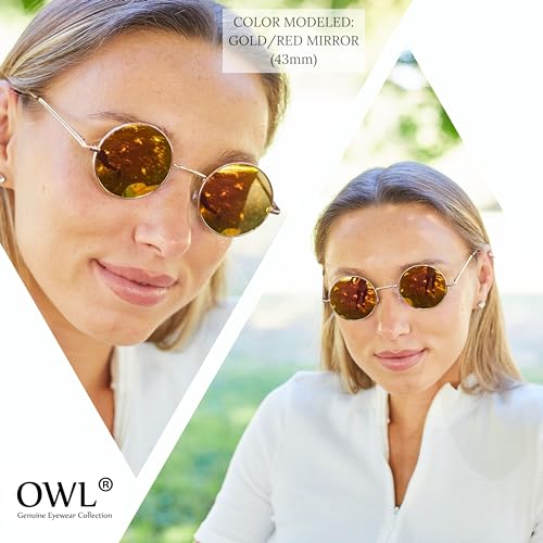 OWL Round Retro Vintage Circle Style Tint Sunglasses Silver Metal Smoke Lens 43 mm - Image 5