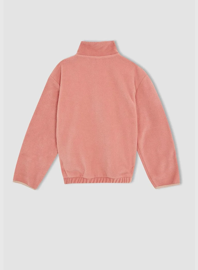 DeFacto Regular Fit Turtleneck Long Sleeve Sweatshirt