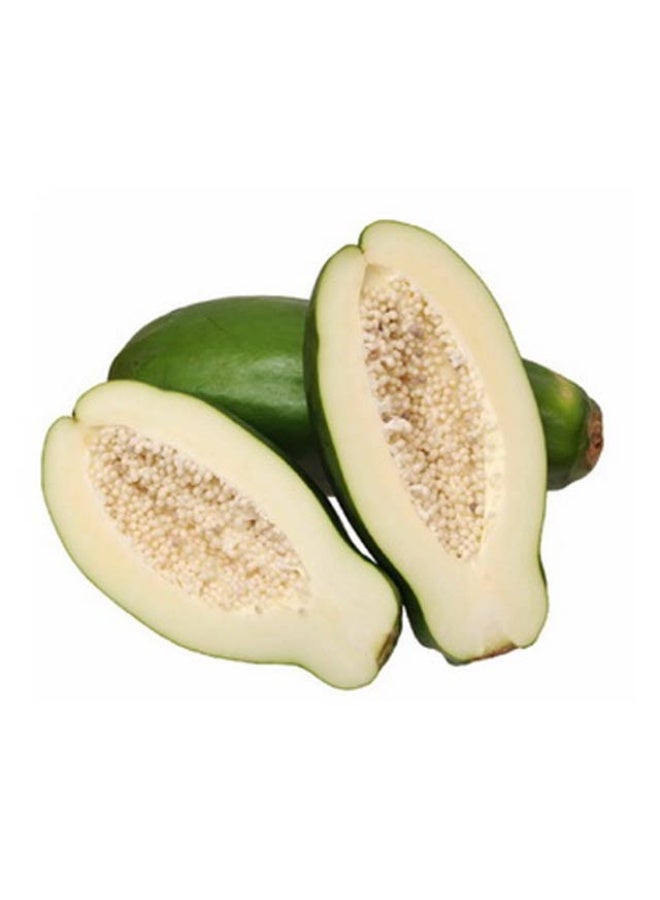 Green Papayas, 1kgto 1.3kg per piece , UAE