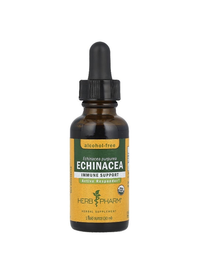 HERB PHARM Herb Pharm, Echinacea, Alcohol-Free, 814 mg, 1 fl oz (30 ml)  - Image 1