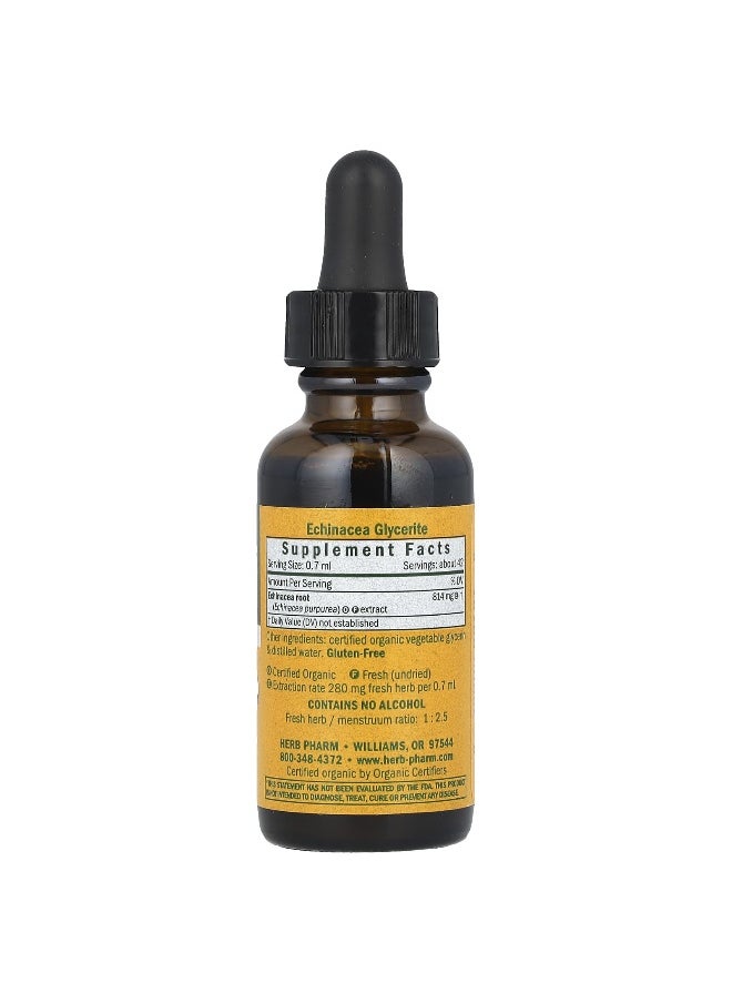 HERB PHARM Herb Pharm, Echinacea, Alcohol-Free, 814 mg, 1 fl oz (30 ml)  - Image 2