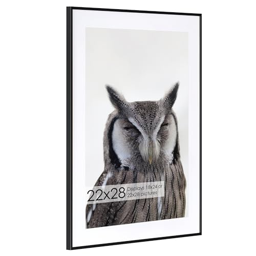 22x28 Metal Picture Frame with 18x24 Mat Brushed Aluminum Finish Tempered Glass Front and Attached Hanging Hardware Wall Display Frames for Vertical or Horizontal Orientation Black