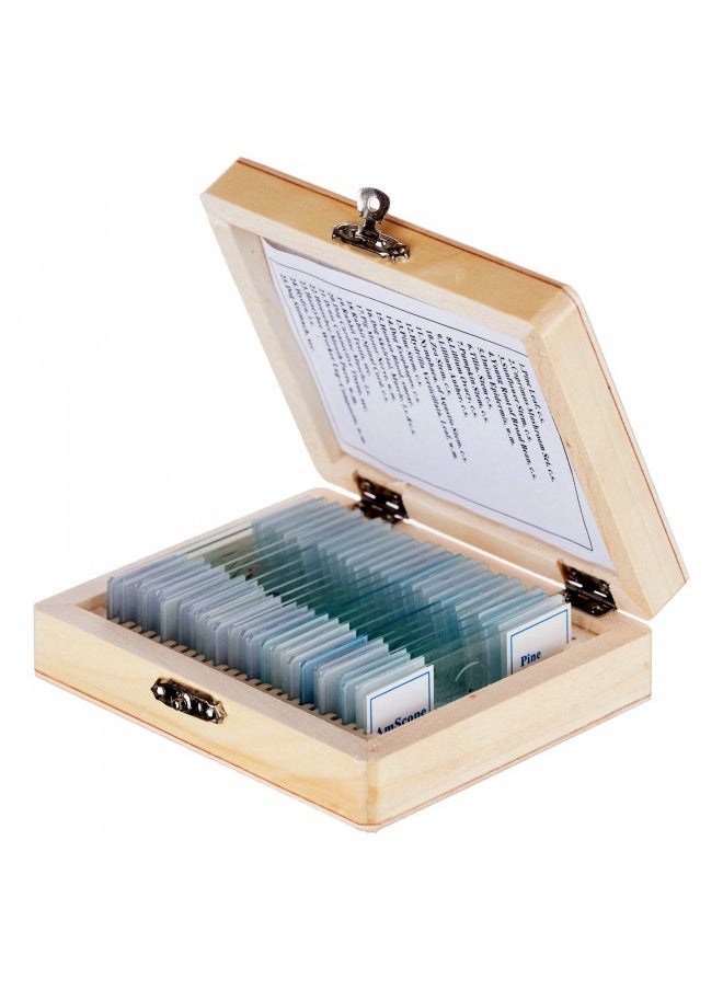 AmScope - Amscope Ps25 Prepared Microscope Slide Set For Basic Biological Science Education, 25 Slides, Includes Fitted Wooden Case Brown - Image 1