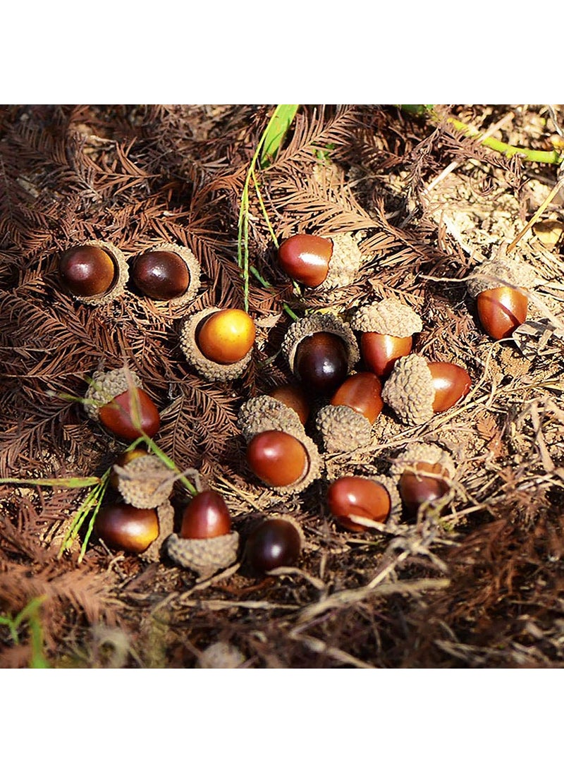 Udefineit Udefineit 100PCS 3cm Artificial Mini Acorns  Fake Fruit Props Lifelike Oak Nut Plants Model Craft for Home Kitchen Table Decor  Thanksgiving Halloween Christmas Festival Decorative Ornaments (2 Pack)  - Image 3
