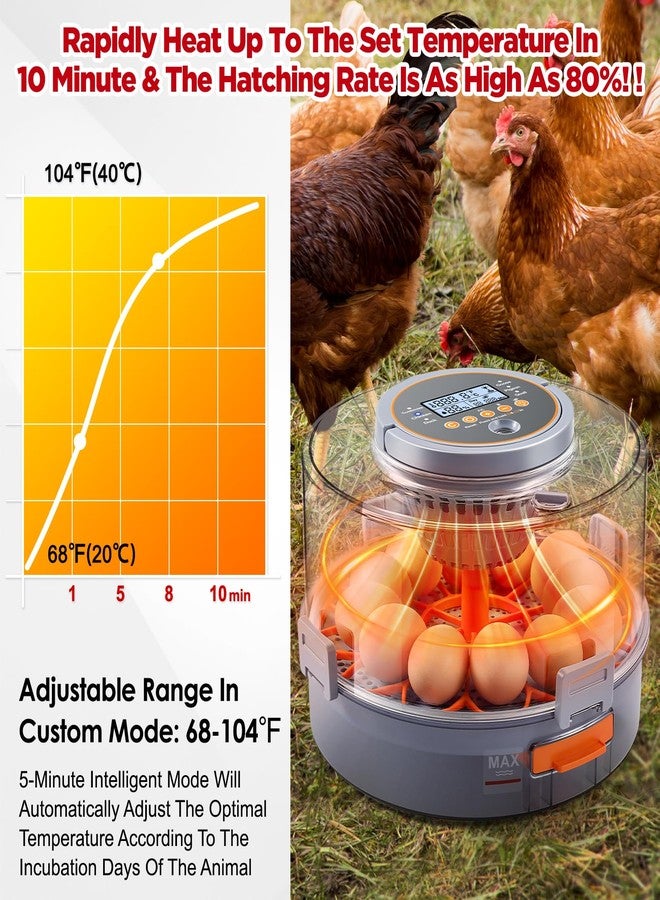 OneAmg Chicken Egg Incubator 12-40 Eggs - Automatic 760° Egg Turner with Digital Display, Auto Temperature Humidity Control for Hatching Chicken Duck Quail Eggs, High Hatch Rate Poultry Incubator - Image 3