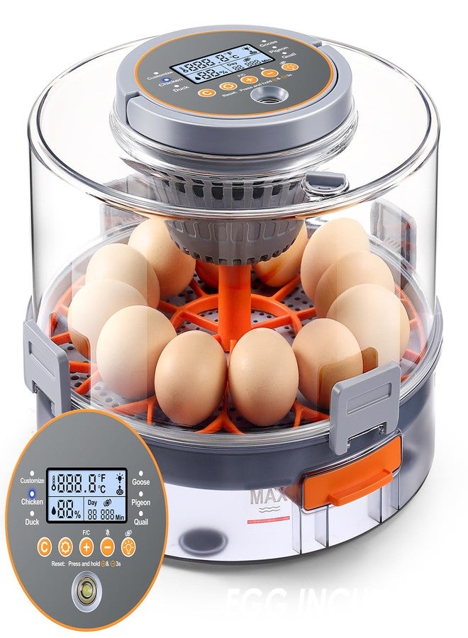 OneAmg Chicken Egg Incubator 12-40 Eggs - Automatic 760° Egg Turner with Digital Display, Auto Temperature Humidity Control for Hatching Chicken Duck Quail Eggs, High Hatch Rate Poultry Incubator - Image 1