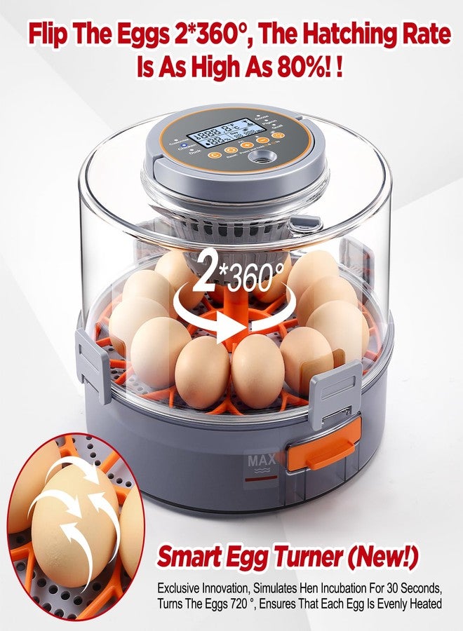 OneAmg Chicken Egg Incubator 12-40 Eggs - Automatic 760° Egg Turner with Digital Display, Auto Temperature Humidity Control for Hatching Chicken Duck Quail Eggs, High Hatch Rate Poultry Incubator - Image 5