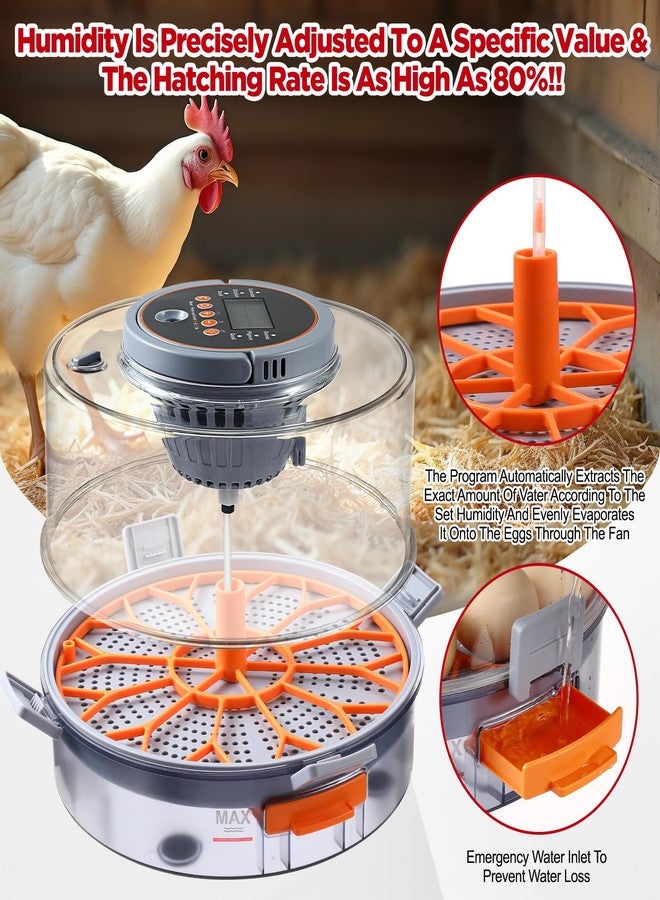 OneAmg Chicken Egg Incubator 12-40 Eggs - Automatic 760° Egg Turner with Digital Display, Auto Temperature Humidity Control for Hatching Chicken Duck Quail Eggs, High Hatch Rate Poultry Incubator - Image 4