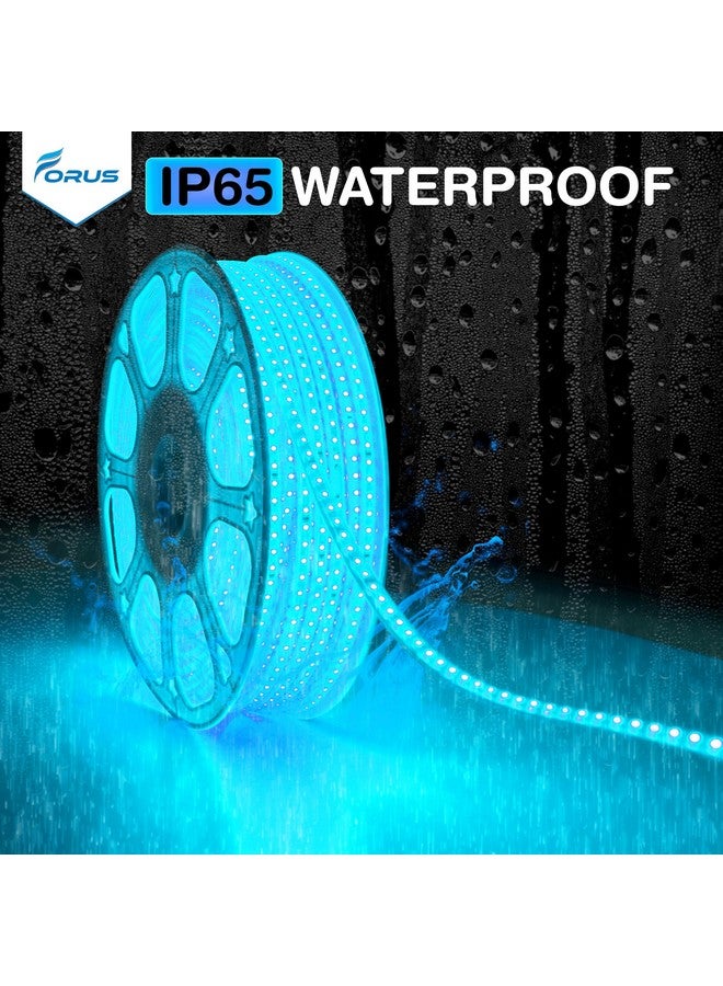 Forus LED Rope Light 40 Meter 2 Year Warranty, Outdoor Waterproof Decorative Cove Light for Ceiling, Balcony, Home Decor, Interior Decoration, Flexible Profile Light for Diwali, Christmas-Ice Blue - Image 5