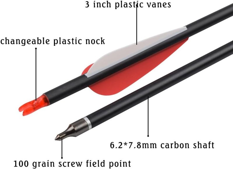 TY Archery Carbon Arrow Hunting Arrows with 100 Grain Removable Tips for Archery Compound & Recurve & Traditional Bow Practice Shooting (Pack of 12) - Image 2