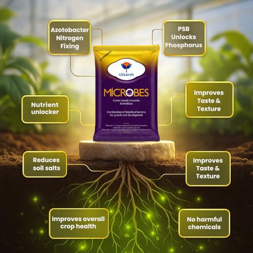 Utkarsh Microbes (Carrier Based Consortia Biofertilizer) & Vamoz-P (Mycorrhiza with 1200 IP/gm) Healthy Growth Booster, Enhances Nutrient & Water Uptake, Soil Aeration (Pack of 2; 900 gm of each) - Image 5