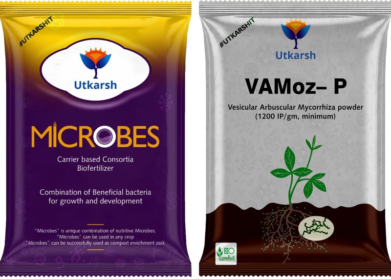 Utkarsh Microbes (Carrier Based Consortia Biofertilizer) & Vamoz-P (Mycorrhiza with 1200 IP/gm) Healthy Growth Booster, Enhances Nutrient & Water Uptake, Soil Aeration (Pack of 2; 900 gm of each) - Image 1