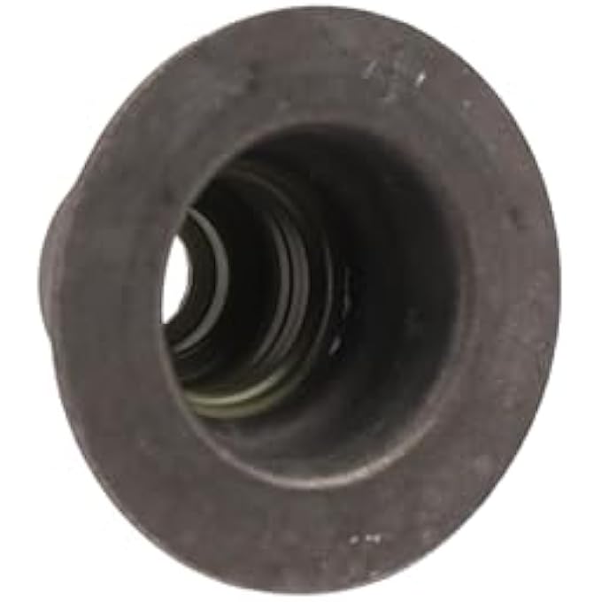 rayihni Gm Genuine Parts 12689007 Intake Valve Stem Oil Seal - Image 2