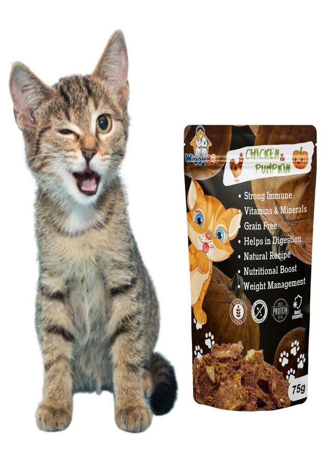 Wiggleboo Chicken & Pumpkin Cat Treat - Irresistible Flavor Fusion for a Healthy Pet, The Perfect Snack to Satisfy Your Cat Cravings, A Burst of Chicken & Pumpkin Flavor to Delight Your Cat (75g) - Image 1