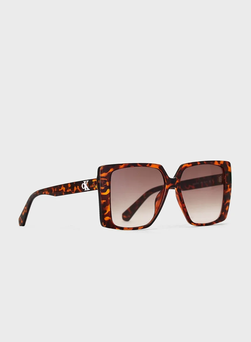 Calvin Klein Jeans Oversized Sunglasses