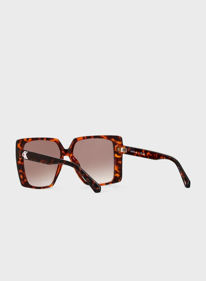 Calvin Klein Jeans Oversized Sunglasses
