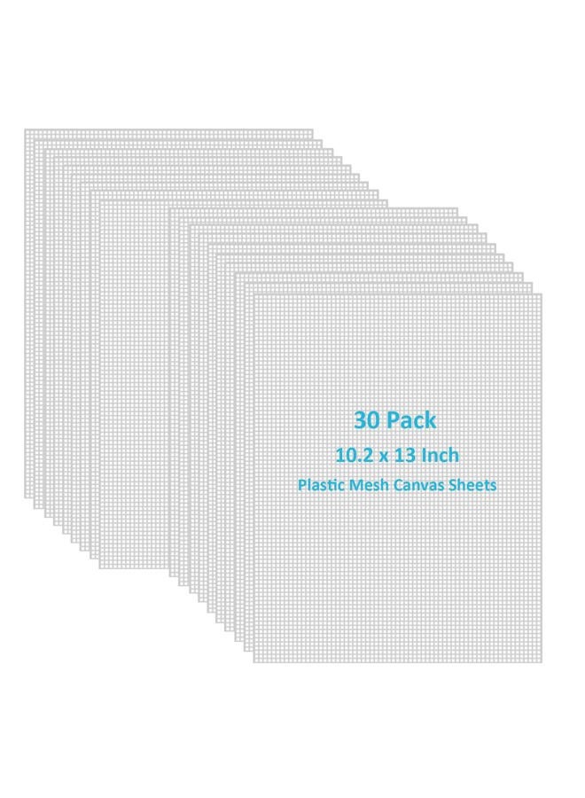 APOCHON 30 Pieces 7 Count Plastic Mesh Canvas Sheets, 10.2" x 13" Plastic Canvas Plastic Mesh for Embroidery Crafting, Acrylic Yarn Crafting, Knit and Crochet DIY Projects - Image 1