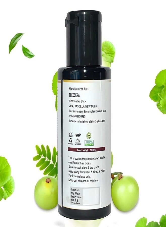 Elecsera Shampoo for Control Dandruff & Hair fall | Shampoo for Reducing Scalp Irritation - Image 5