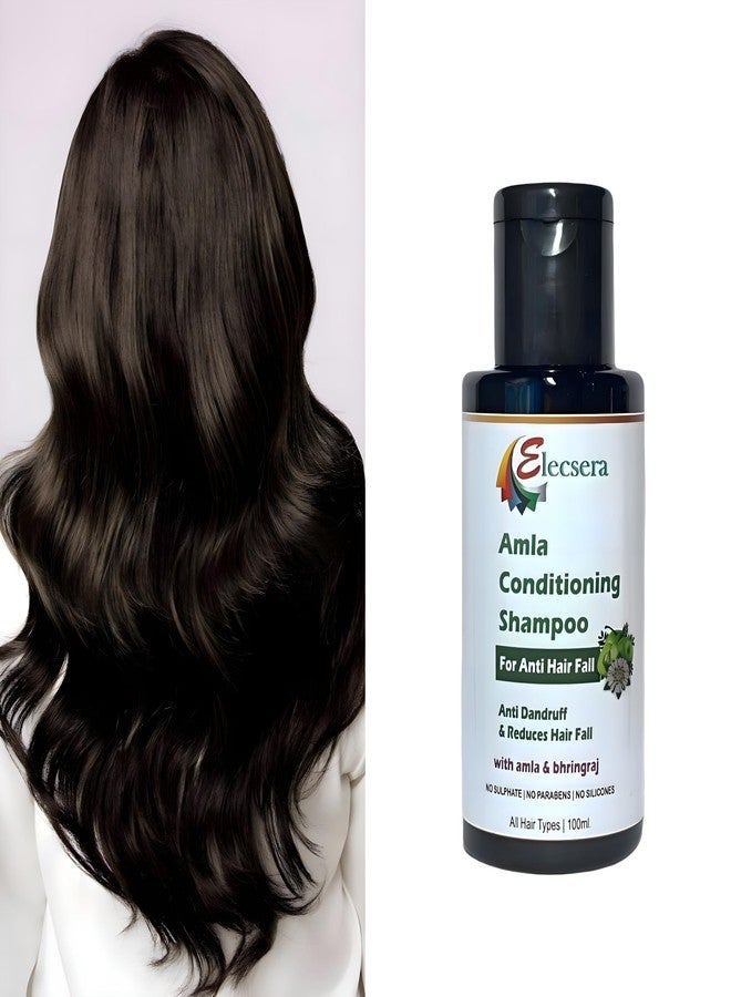Elecsera Shampoo for Control Dandruff & Hair fall | Shampoo for Reducing Scalp Irritation - Image 4