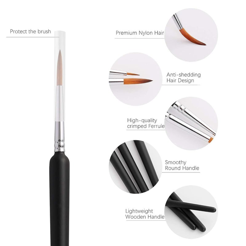 PARVY® Professional Paint Brushes Set | Miniature Detail Brushes | Fine Tip Nylon Hair Brushes | Acrylic & Watercolor Paint Brushes | Oil Paint Brushes Set | Precision Painting Tools (6 PCS Set) - Image 5