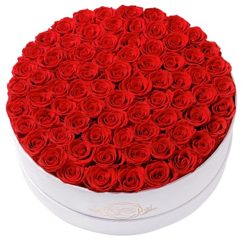 Prifroti 75 Preserved Roses in Suede Box – Luxury Rose Flower Arrangement, Preserved Flowers Gifts for Women, Wife or Mom – Birthday, Anniversary, Valentine’s Day, Mother's Day (Red) - Image 1