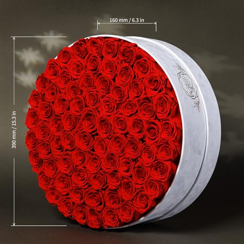 Prifroti 75 Preserved Roses in Suede Box – Luxury Rose Flower Arrangement, Preserved Flowers Gifts for Women, Wife or Mom – Birthday, Anniversary, Valentine’s Day, Mother's Day (Red) - Image 3