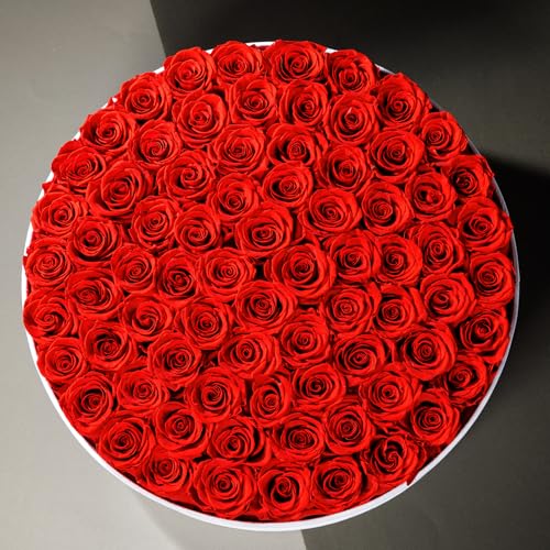 Prifroti 75 Preserved Roses in Suede Box – Luxury Rose Flower Arrangement, Preserved Flowers Gifts for Women, Wife or Mom – Birthday, Anniversary, Valentine’s Day, Mother's Day (Red) - Image 2