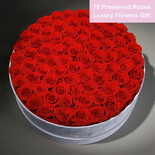 Prifroti 75 Preserved Roses in Suede Box – Luxury Rose Flower Arrangement, Preserved Flowers Gifts for Women, Wife or Mom – Birthday, Anniversary, Valentine’s Day, Mother's Day (Red) - Image 4