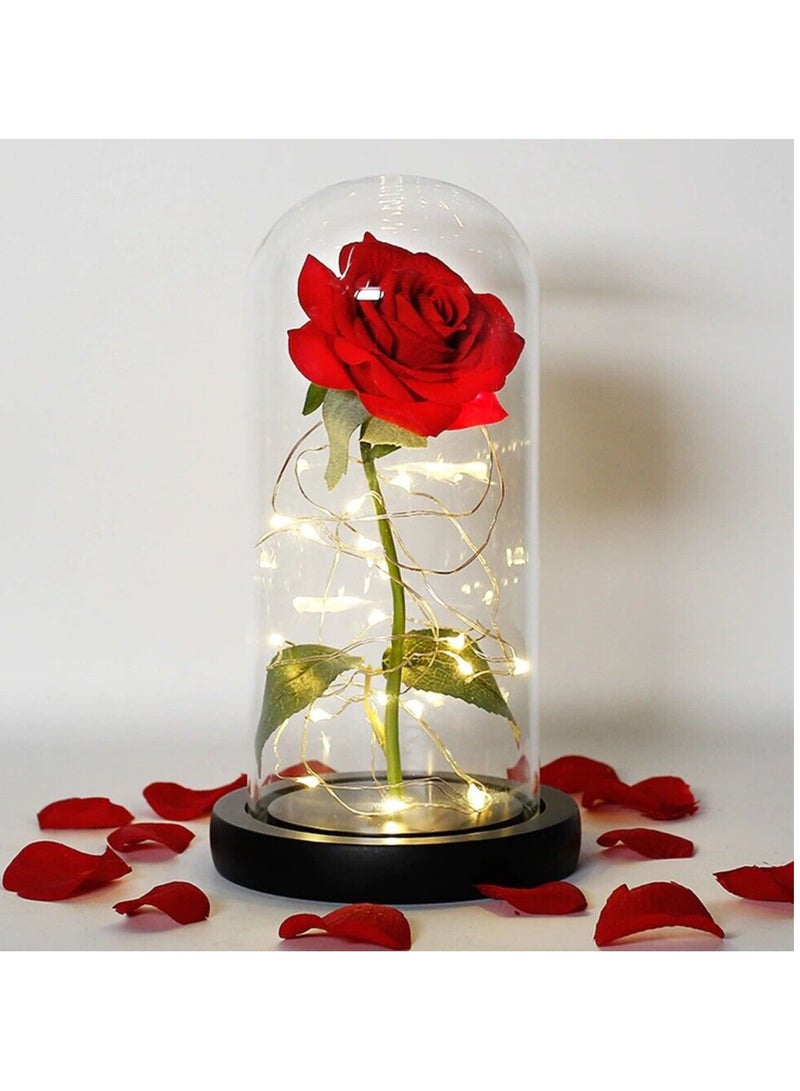 Vitacelli 1 Pc Red Forever Rose in Glass Dome with LED - Image 1