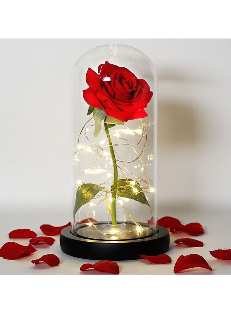 Vitacelli 1 Pc Red Forever Rose in Glass Dome with LED - Image 3