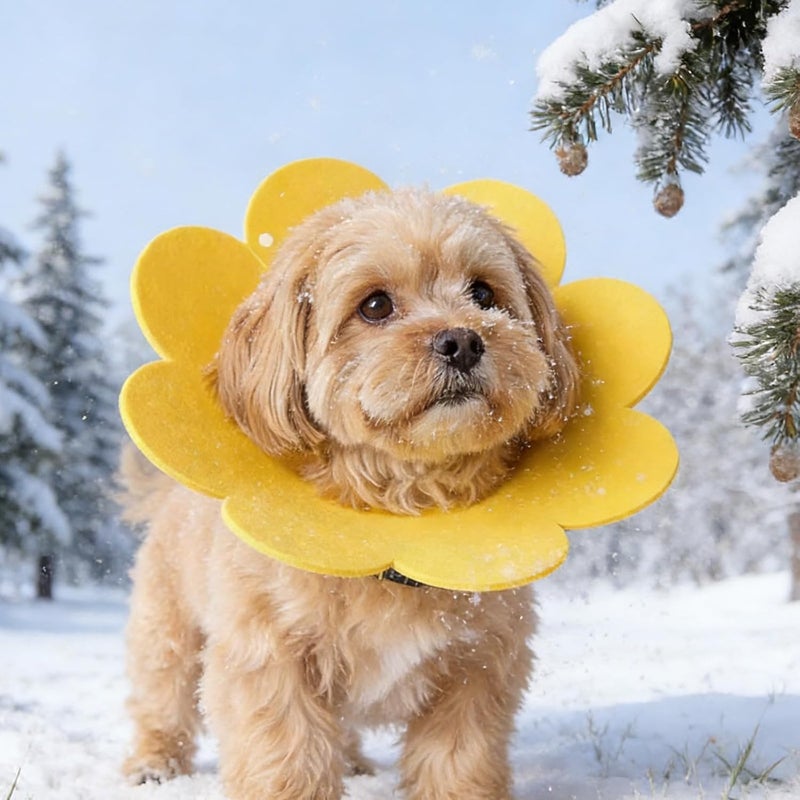 4Pcs Flower Recovery Collar for Cats Post Adjustable Protective Recoveryneckwear - Image 5