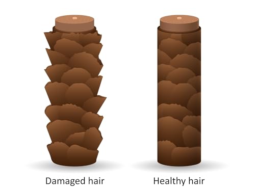 DermOrganic Original Argan Oil Leave-In Hair Treatment 4 oz (2 pack) - Image 4