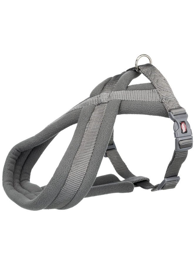 تريكسي حزام سياحة ممتاز للكلاب | مصنوع من حشوة من الصوف، وقابل للتعديل، وخفيف الوزن | حلقة D قوية تحافظ على الحزام والمقود في مكانهما - XS-S 30-55 سم/15 مم جرافيت