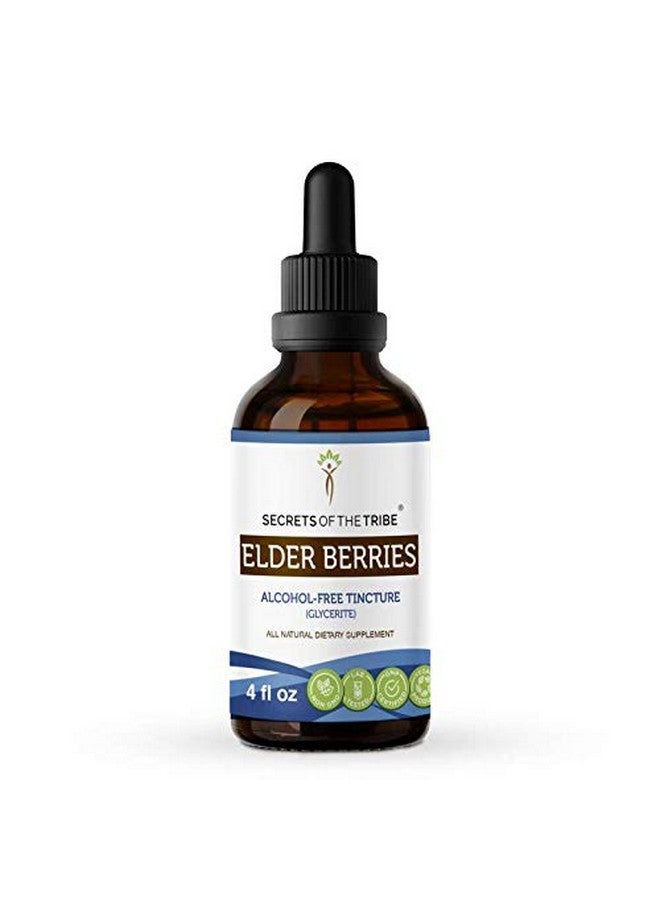 Secrets of the Tribe Elder Berries Alcoholfree Liquid Extract Elder Berries (Sambucus Nigra) Dried Berry Tincture Supplement (4 Fl Oz) - Image 1