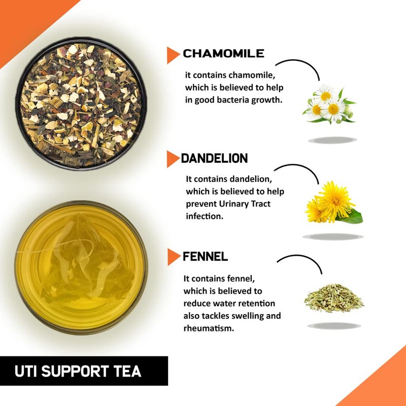 TEACURRY UTI Support Tea (2 Months Pack, 60 Tea Bags) - Helps with Urinary Tract Infections, Immunity - Image 2