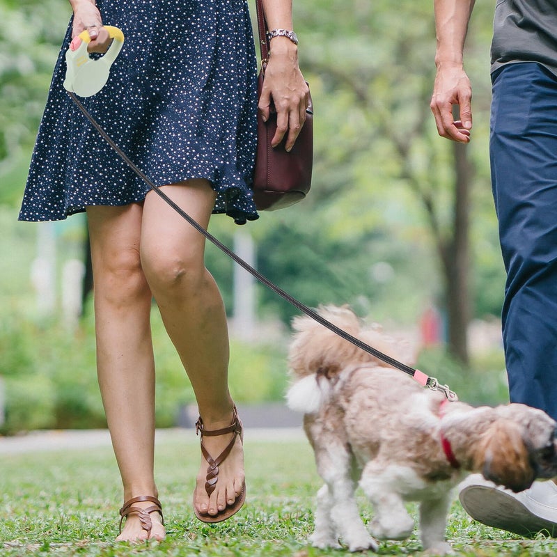 Retractable Dog Leash for Medium Small Dogs Sturdy Rope Comfortable Handle Outdoor Walking Training - Image 5