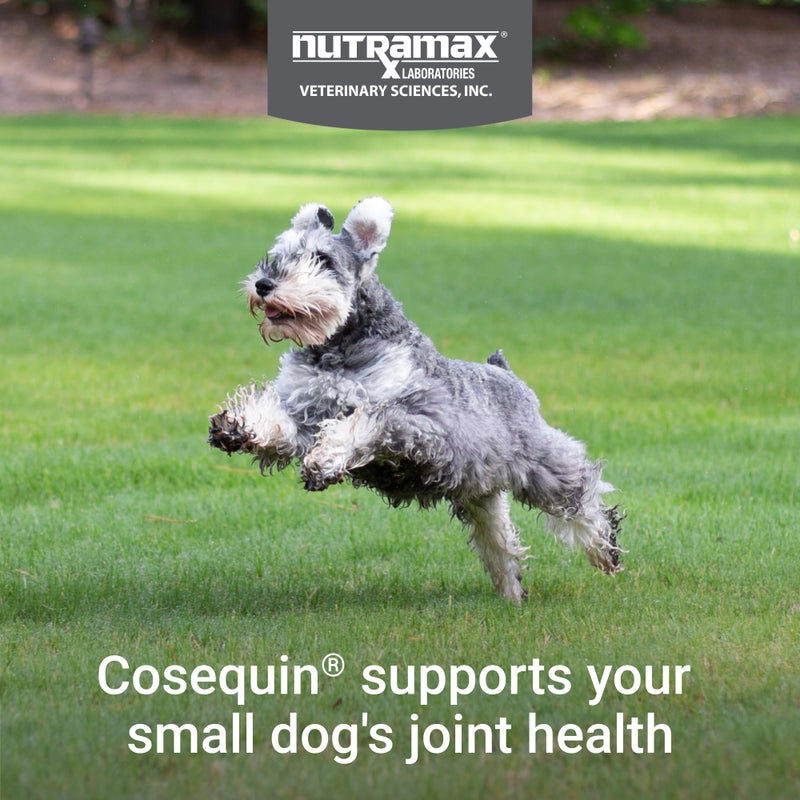 Nutramax Laboratories Cosequin Plus MSM & Boswellia Mini Sized Soft Chews - Image 3