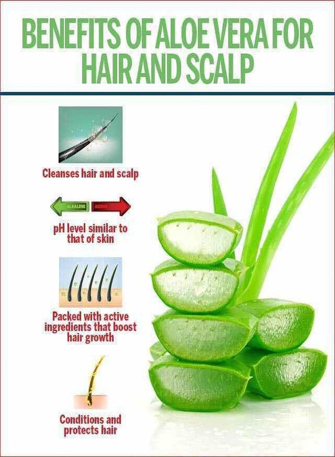 Elina Pure Aloe Vera Gel for Face 500gm | Natural AloeVera Gel for Healthy Skin and Hair | Hydrating, Moisturizing, Soothes Irritated Skin, Anti-Aging & Acne Control Gel for All Skin Types - Image 5