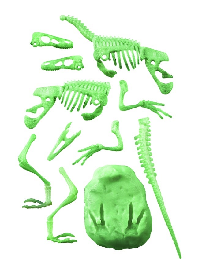 Clementoni Archeofun Velociraptor Fossils | Dig, Discover and Assemble the Skeleton | Glow in the dark Dinosaur | STEM Toys | Science Toys | Educational & Learning Toy | Enhance Problem-solving Skills & Fine Motor Skills | Improves Coordination & Creativity | Gift for Kids and Toddlers - Image 2