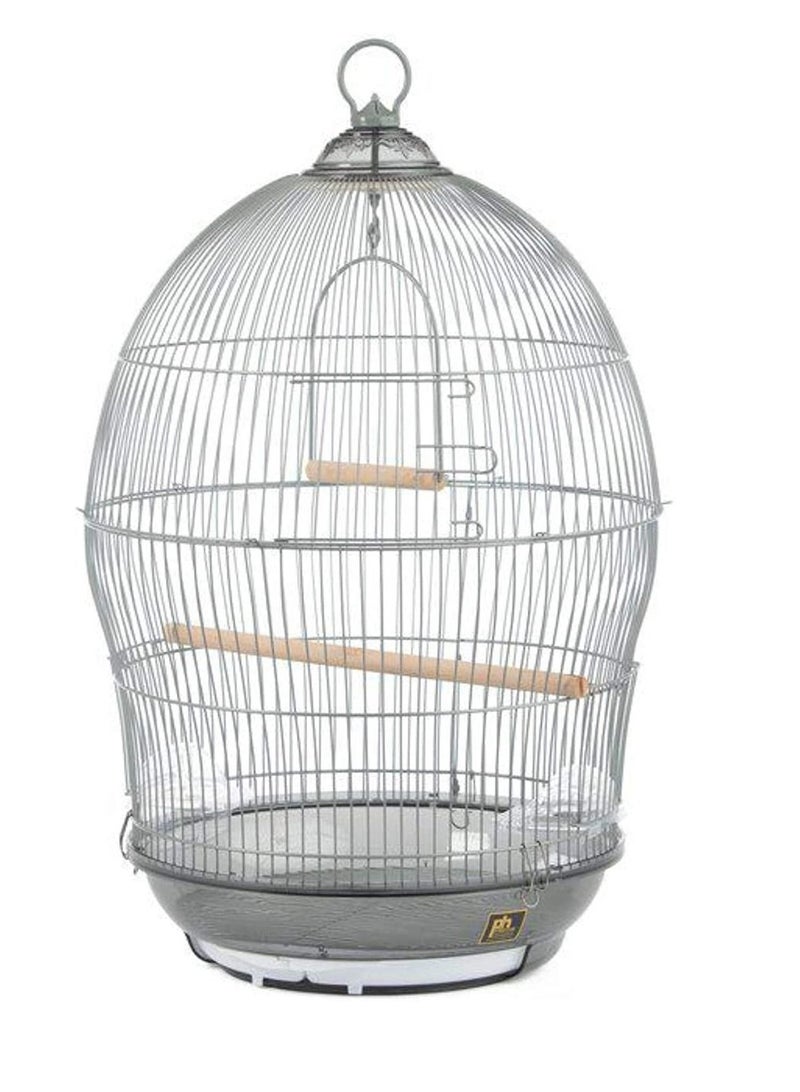 DAYANG Hanging Bird Cage for Parakeet Finches Budgies Cockatiels Esotici Lovebirds Canaries Parrots 48.5X48.5X76cm - Image 1