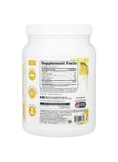 NutraBio NutraBio, Performance, Clear Protein, Pineapple Splash, 1.1 lb (499 g)  - Image 2