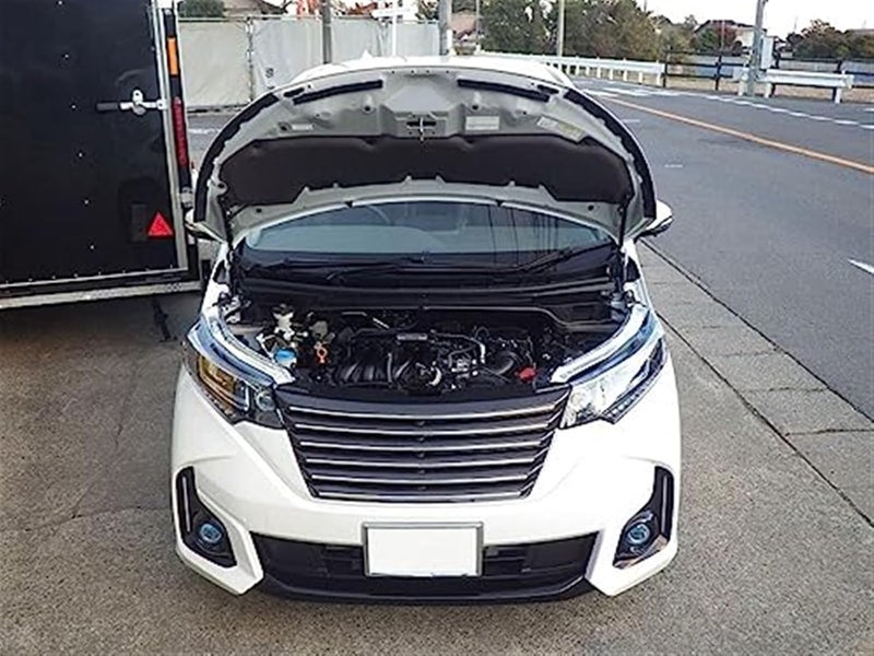 DEMULAX Purple Carbon Fiber Hood Lift Kit - Image 2